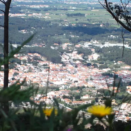 Casa Do Cha Casa vacanze